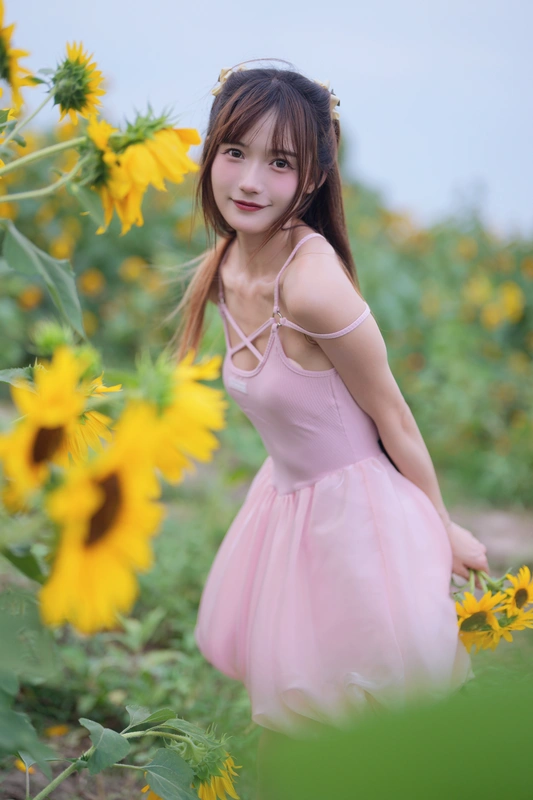 蓝调向日葵少女 - 兔子zzz不吃胡萝卜